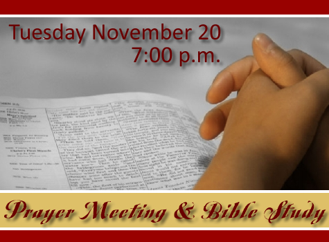 Prayer Meeting and Bible Study