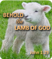 Behold the Lamb