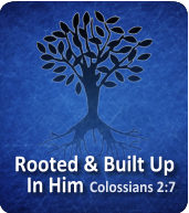 Rooted and Built Up In Him
